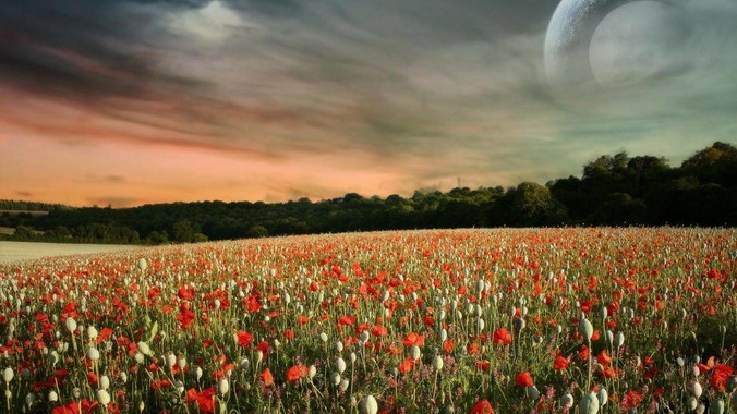 网传广东怀集洪水后赵一鸣超市被哄抢,县***回应相关单位正在核实,若属实哄抢者该承担哪些法律责任?